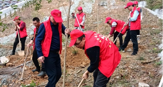 村企共建，共植先锋林